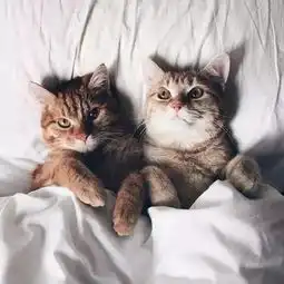  床照不一定都是羞羞哒也可以很温情很艺术哦