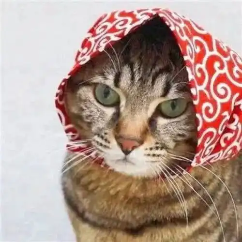  长得瘦的人有哪些烦恼