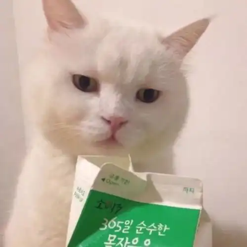  一些有点不正常的头像,我妈都觉得很可爱