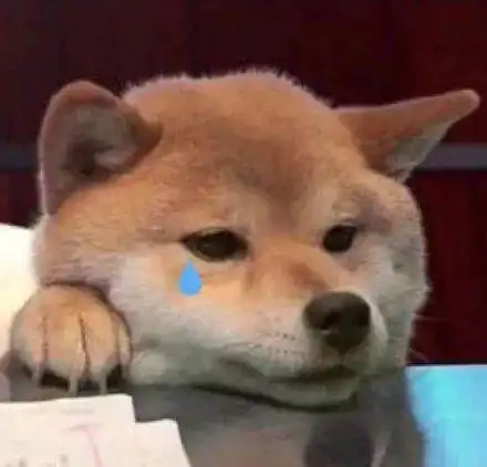  动物头像努力只能及格拼命才能优秀