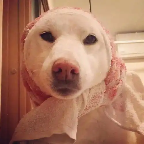  微信头像百里挑一