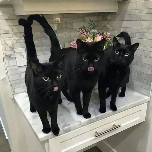  微信头像相当ok