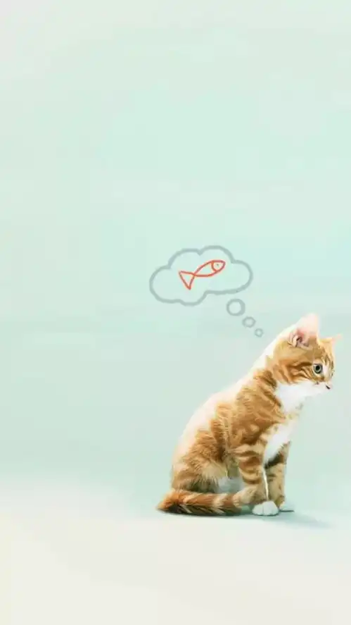  今日壁纸推荐829