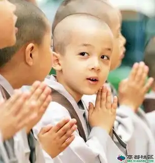  宝光寺三小和尚萌翻天网友真人版乌龙院