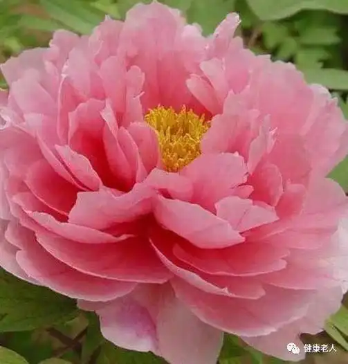  人生40集,全了够用一辈子,存在手机里千万别删了