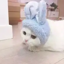  情侣头像因为是对的人,走路真的来不及