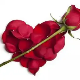  这个世界没有想象中的那么好但似乎也没那么糟阴天情不忘初niur的美拍