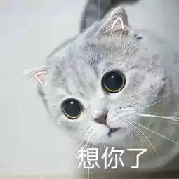  一封情书