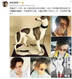  单身汉陈楚河晒暧昧梦境约会女嘉宾心切