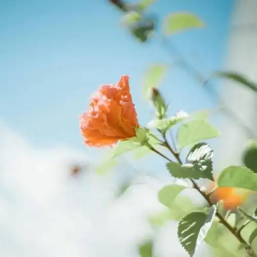  生活哲理句子资料的感悟