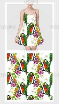  psd白底鹦鹉psd格式白底鹦鹉素材图片psd白底鹦鹉设计模板我图网