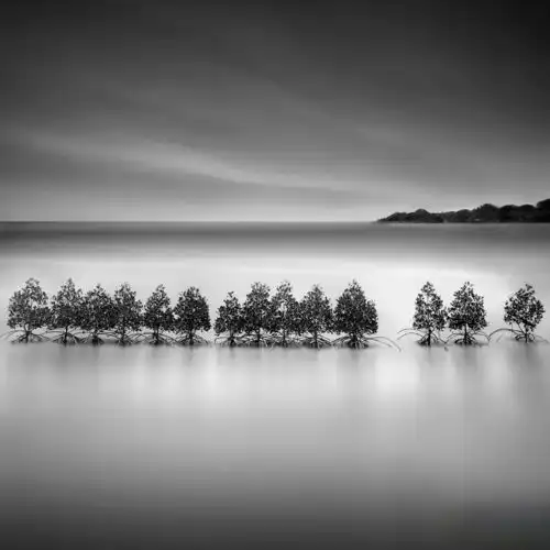  分享无色胜有色