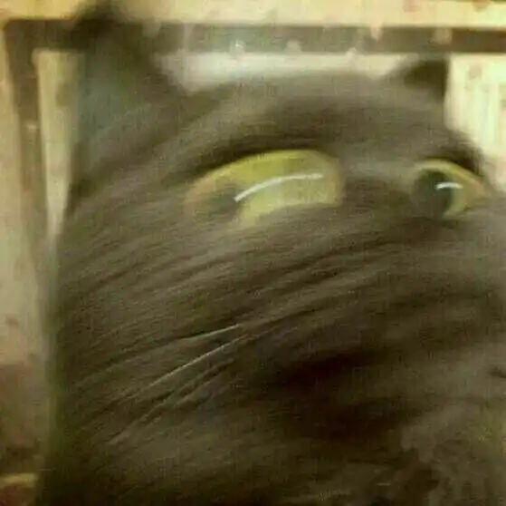  有哪些可爱又有创意的情头