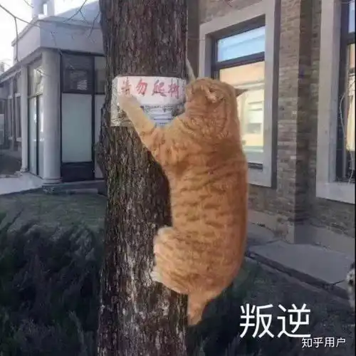 远危成男危女成有体验的进来