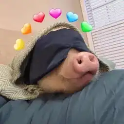  最近超抢手搞怪头像,喜欢你这件事太明显,没办法拐弯抹角