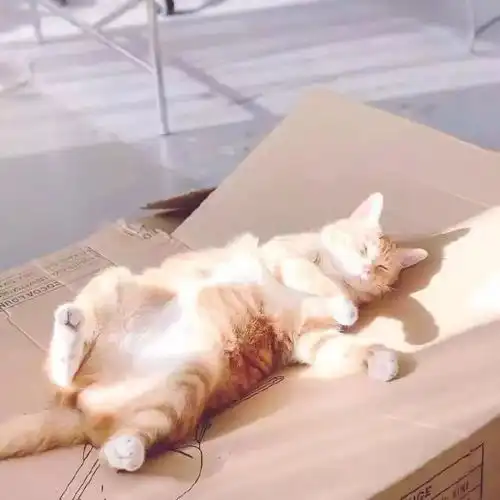  朋友圈可爱的背景图凡是过往,皆为序章