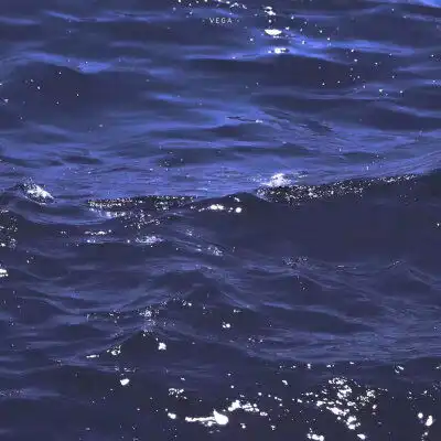  热门内容堆糖,美图壁纸兴趣社区情侣头像,手机壁纸,表情包,头像,高清壁纸,图片,图片下载