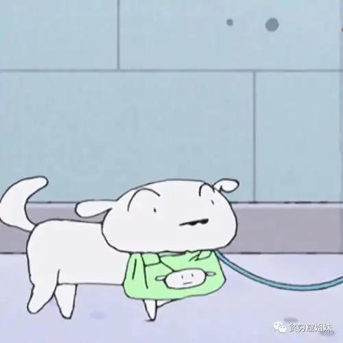  太可爱了没有对象也要收藏的头像,以后会用得着的