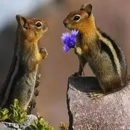  偷偷拍下的亲热照片,别不好意思看