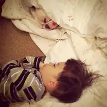  治愈系宠物家里的萌物是最好的朋友