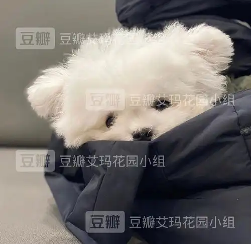  大学生imars帮我填填问卷吧内有抽奖和学习资料...