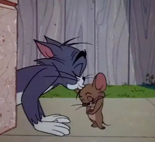  网友回家后发现仓鼠死了,家中橘猫瑟瑟发抖别看我,不是我干的