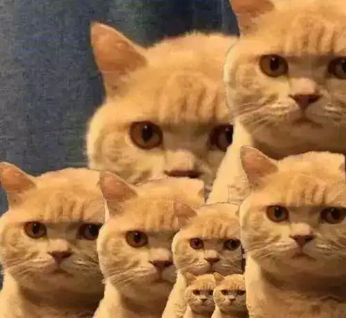  神雕侠侣绝代双骄又被炒冷饭,2018是要当翻拍元年吗