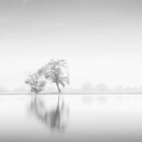  极简主义黑白风景摄影作品,压抑又深刻