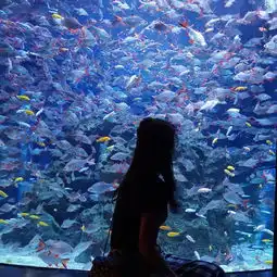  情侣头像丨你去买只猫吧你抱着猫我抱着你