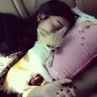  谁有抱着动物的情侣头像抱猫猫狗狗的那种