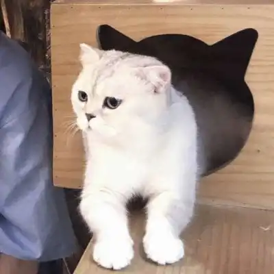  祁宋真人恩爱情头另一半不是情侣头像我要个性网