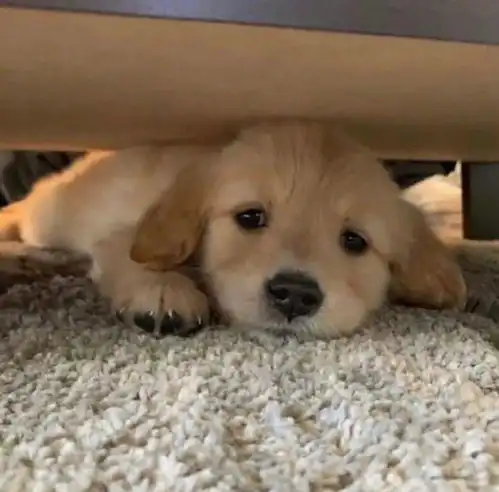  超棒的微信头像