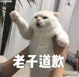  段位和你我都想上表情包图片人生不值得表情包图片下载乐游网游戏下载