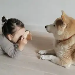  这个3岁女孩,和一条狗,突然就这样火遍全球