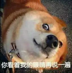  专治不开心看完心情大好,不笑你打我