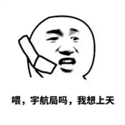  这次,新加坡人终于要登上太空了可喜可贺