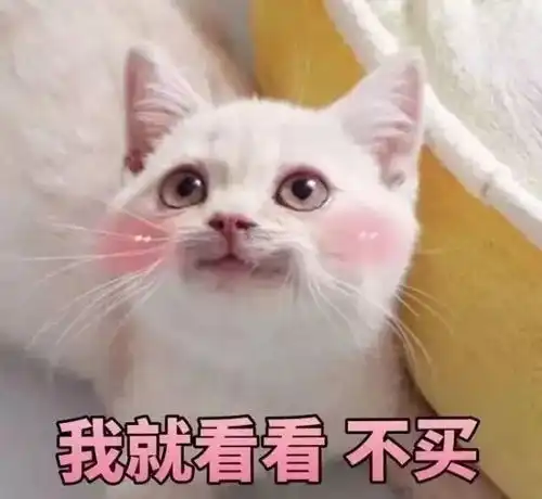  双12钜惠来袭网上剁手,不如抄底楼市