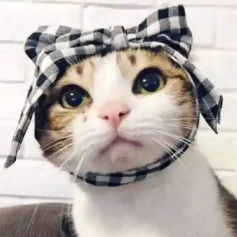 北风吹捂脸暖头像