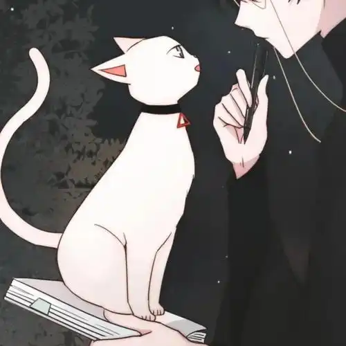  优质动漫情头会有始料不及的运气,会有突如其来的欢喜腾讯新闻