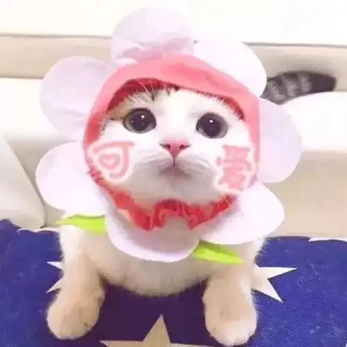  女生对男生死心是在什么瞬间