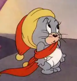  汤姆身世之谜猫和老鼠中的汤姆是一只什么猫