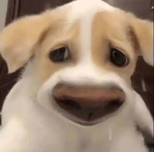  腾讯内容开放平台