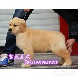 北京黄页88网