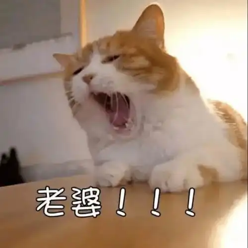  超好看的情侣头像