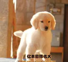 黄页88高清图片