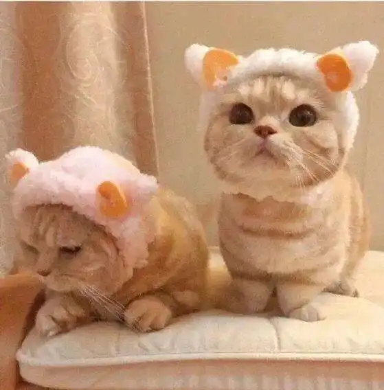  cp头像我的心都碎成二维码了可扫出来还是我爱你