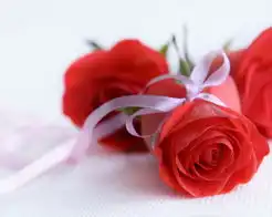  精美图片相册丁立信第一营销网销售与市场官方网站,第一营销人社区营销,销售技巧,销售,培训,业务员,推销,促销