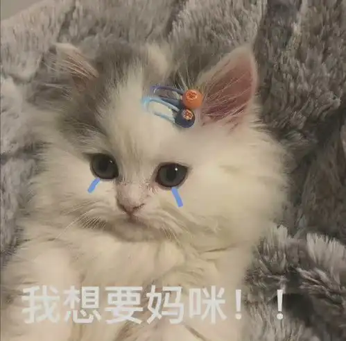 妈宝女可以用到的表情包