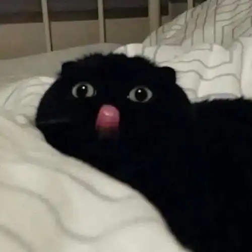  竹节香膏,mini气垫...这次度假不时髦我认输文尾福利