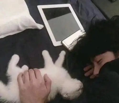  心理学家关灯前收到这3条qq消息祝贺你成渣男备胎